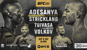 UFC 293